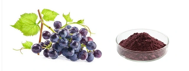 product-1-1 product-1-1