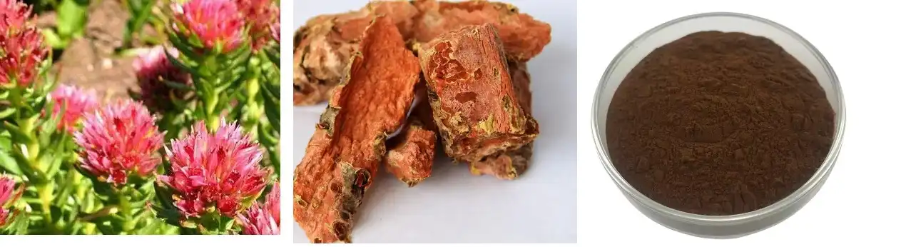 product-1-1 product-1-1